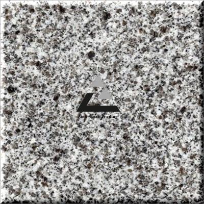 Morvarid Gray Granite